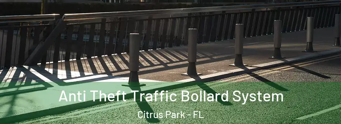 Anti Theft Traffic Bollard System Citrus Park - FL