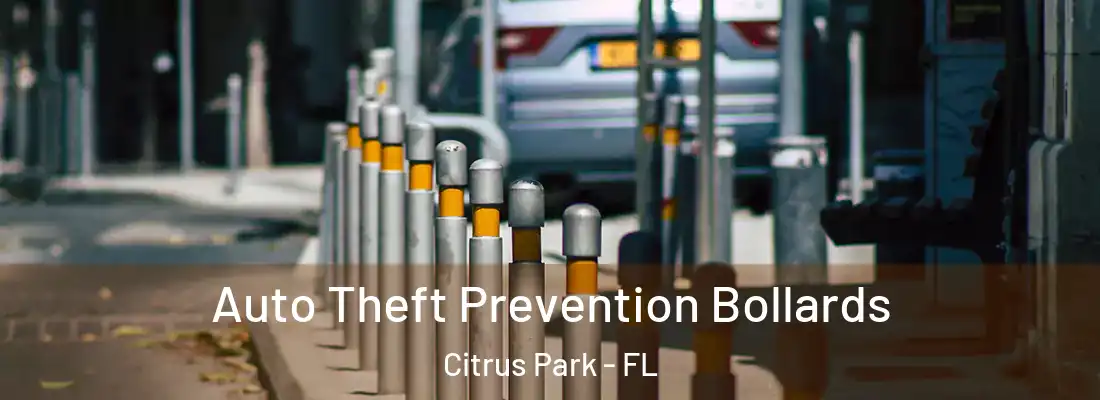Auto Theft Prevention Bollards Citrus Park - FL