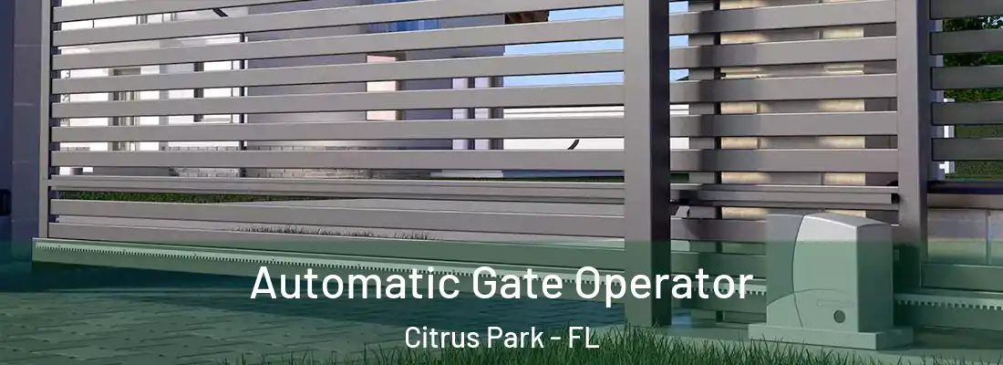  Automatic Gate Operator Citrus Park - FL
