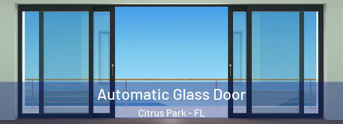 Automatic Glass Door Citrus Park - FL