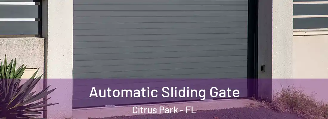  Automatic Sliding Gate Citrus Park - FL
