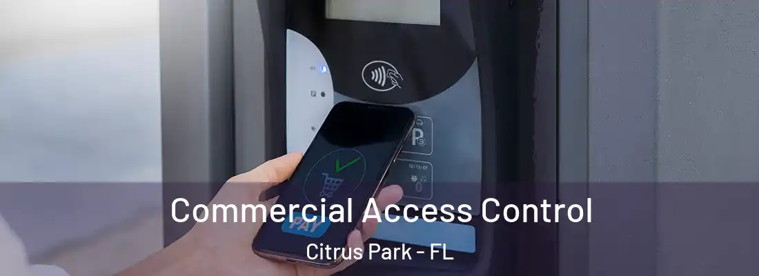  Commercial Access Control Citrus Park - FL