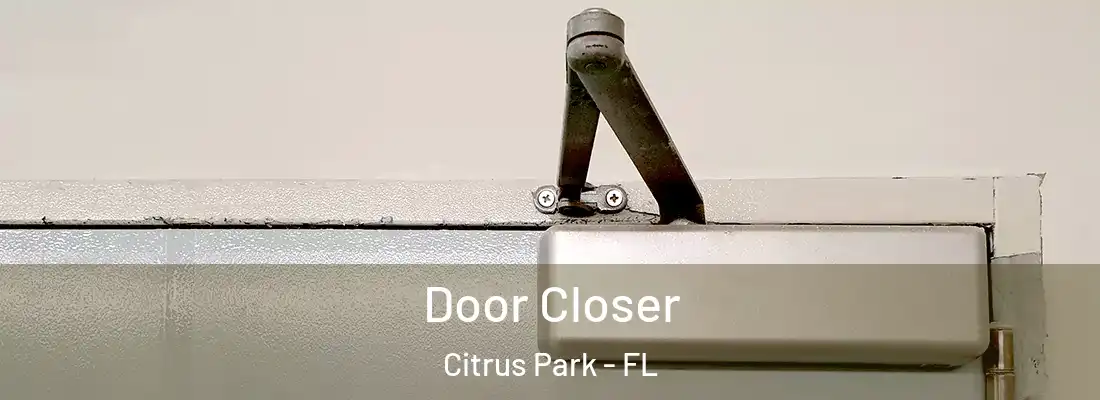 Door Closer Citrus Park - FL