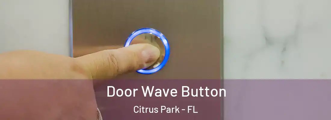 Door Wave Button Citrus Park - FL
