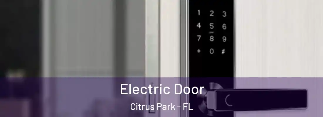  Electric Door Citrus Park - FL