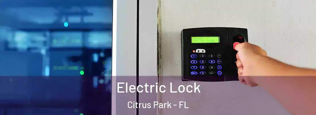 Electric Lock Citrus Park - FL