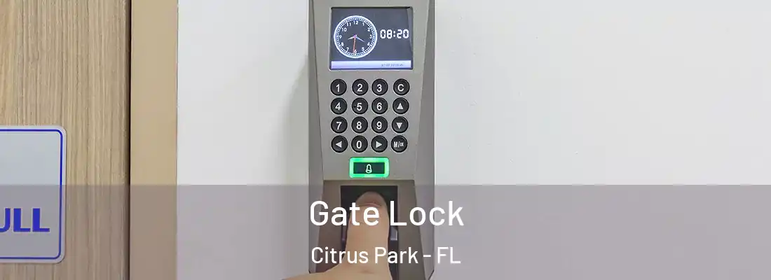  Gate Lock Citrus Park - FL