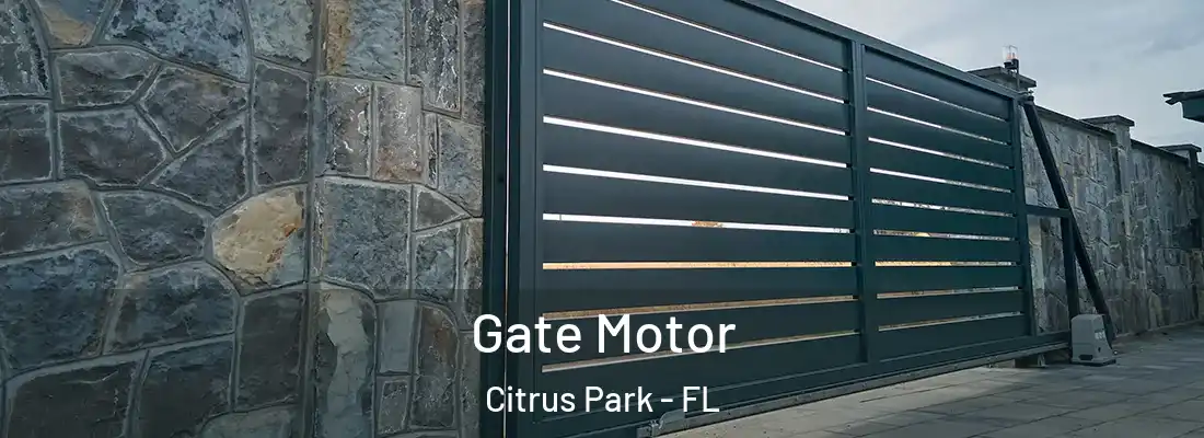  Gate Motor Citrus Park - FL