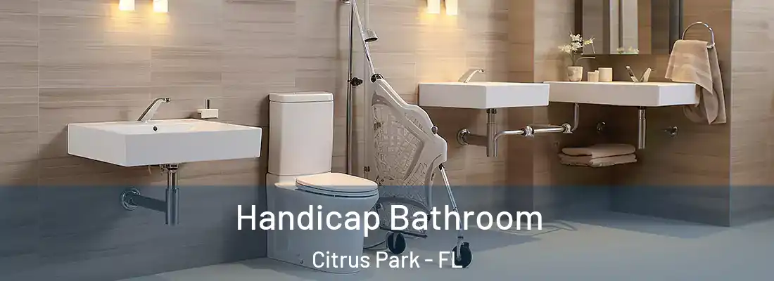  Handicap Bathroom Citrus Park - FL