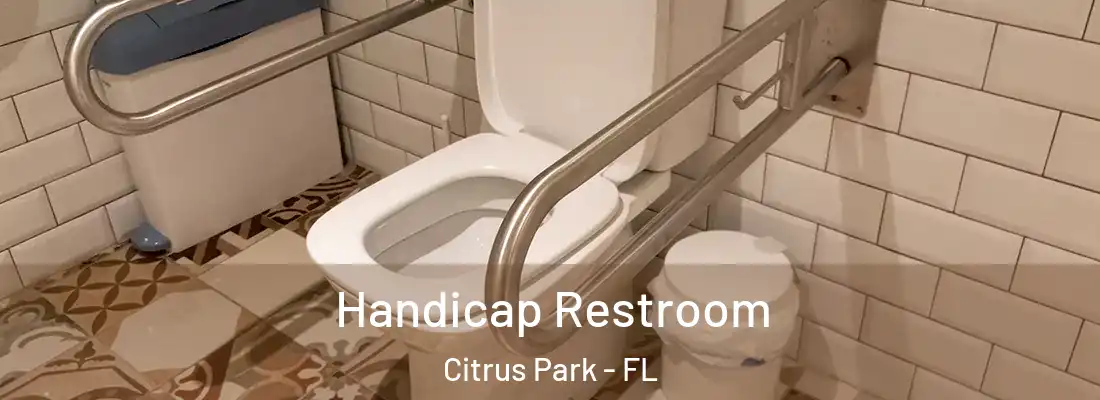 Handicap Restroom Citrus Park - FL