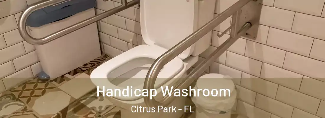  Handicap Washroom Citrus Park - FL