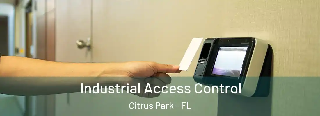  Industrial Access Control Citrus Park - FL