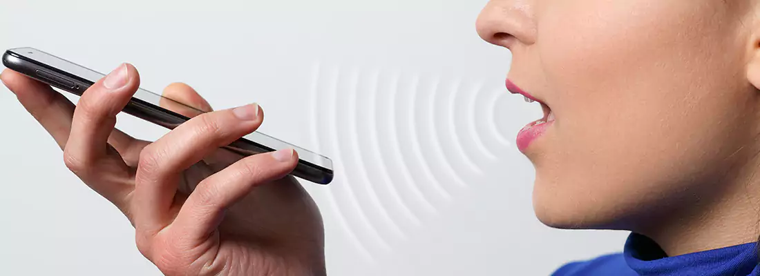 Residential and Commercial Voice Recognition Access Solutions in Citrus Park, FL