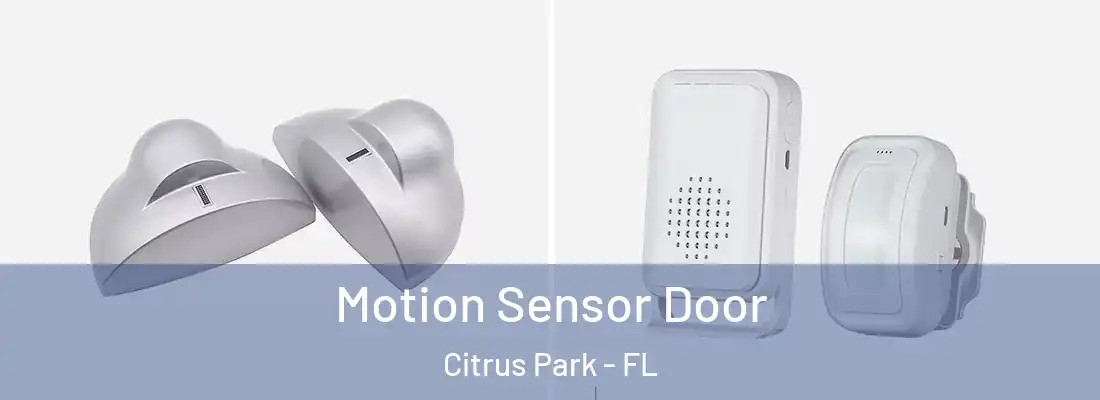  Motion Sensor Door Citrus Park - FL