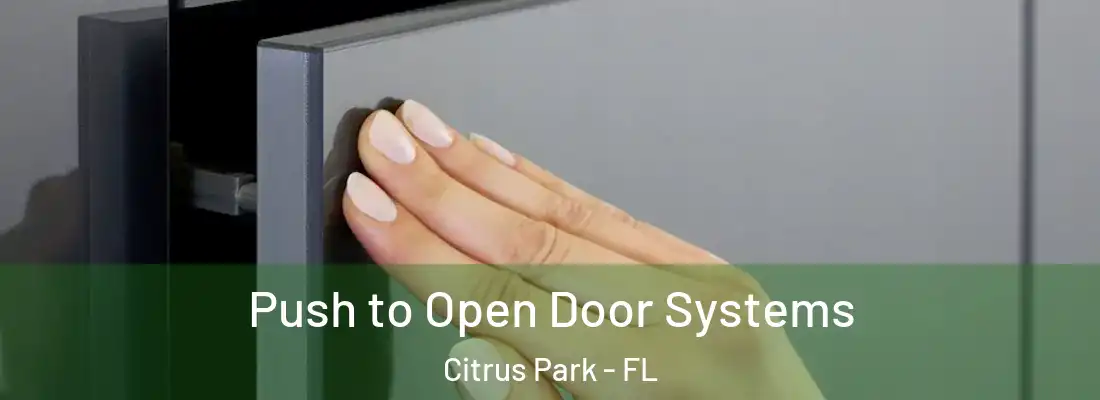  Push to Open Door Systems Citrus Park - FL