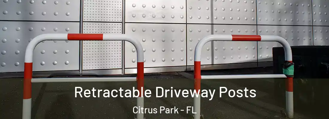  Retractable Driveway Posts Citrus Park - FL