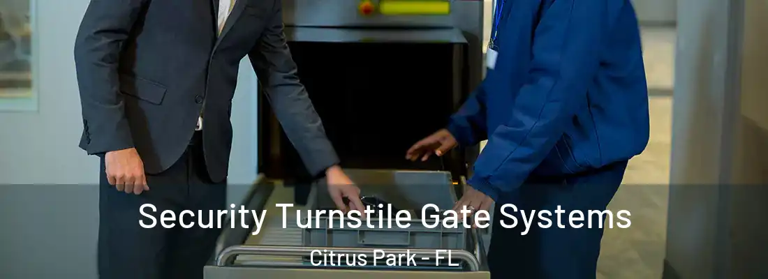  Security Turnstile Gate Systems Citrus Park - FL
