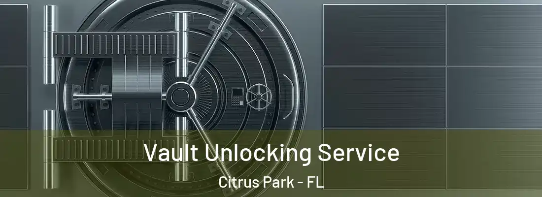  Vault Unlocking Service Citrus Park - FL